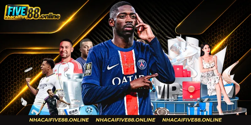 Đối chiếu odds và phong độ để đánh giá từng cửa